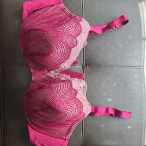 Cacique Lace Underwire Bra in Fuchsia Pink